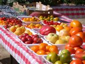 A larger assortment of tastier tomatoes could be in Californians' future.