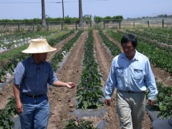 UC Cooperative Extension is helping Hmong farmers in the Central Valley deal with water shortages.