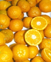 Mandarins may be an allergy remedy.