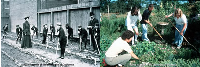 Gardening then and now.