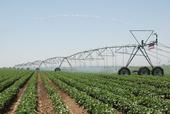 Overhead irrigation is one of the promising techniques being used in conservation agriculture systems.