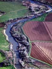 Farmland in the Sacramento-San Joaquin Delta.