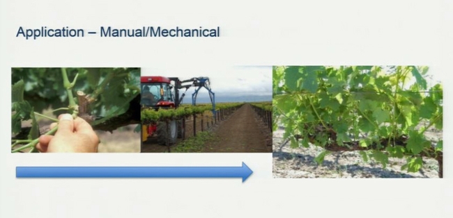 Interest in winegrape mechanization is skyrocketing because the practices produce grapes of superior quality.