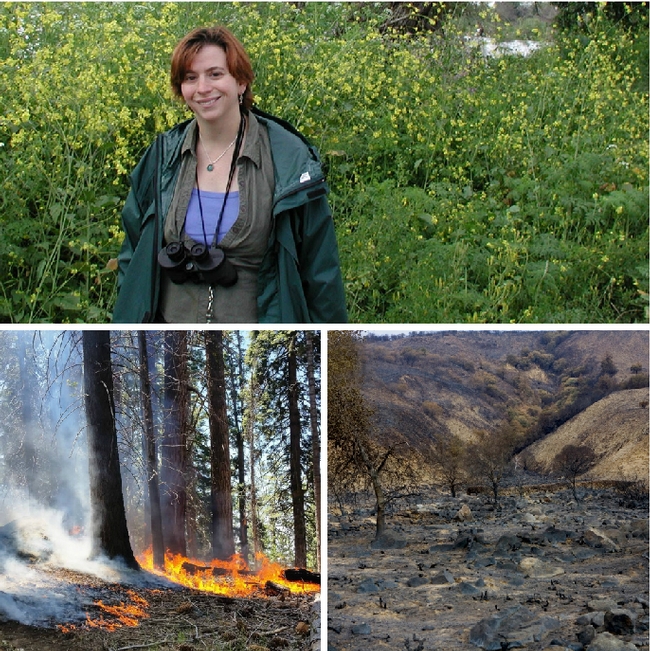 UCCE natural resources advisor Sabrina Drill is a fire science expert.