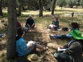 The California Naturalist training involves both classroom and field sessions.