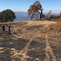 Sara Stinson of KRON4 News interviewed John Bailey about the impact of the River Fire on UC Hopland REC.
