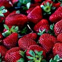 Berries are soft fruit, so robotic harvesting is unlikely. The industry is looking to agtech to reduce the amount of labor needed and make it easier for farmworkers to pick and harvest the fields. (Photo: Pixabay)