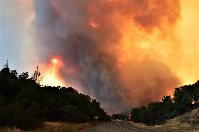 The Carr Fire burned 1,077 homes in Northern California during the summer of 2018. (Photo: Bureau of Land Management)