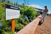 An herb garden in the Farm & Food Lab in Orange County.