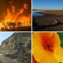 California's four seasons are fire, flood, mud and drought.