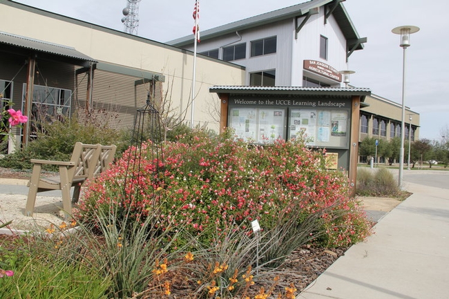 The 'Learning Landscape' at the UCCE office in San Joaquin County is maintained by UC Master Gardeners.