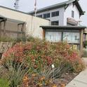 The 'Learning Landscape' at the UCCE office in San Joaquin County is maintained by UC Master Gardeners.