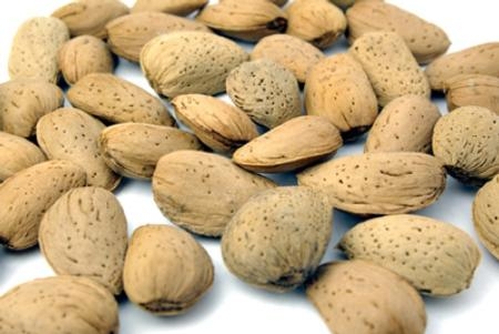 Improved almond production techniques have helped grow the industry.