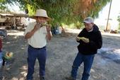 UCCE agricultural assistant Michael Yang, left, and Van Thao snack on freshly picked melon during a field visit.
