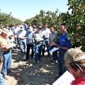 UCCE entomology advisor David Haviland, right, speaks with farmers and pest control advisors in a pistachio orchard.