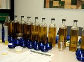 Blind sensory testing revealed many imported olive oils labeled 