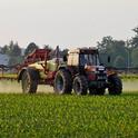Organophosphate pesticides are approved for use in agriculture. Increasing evidence suggests that prenatal exposure to pesticides may have health impacts in later years.