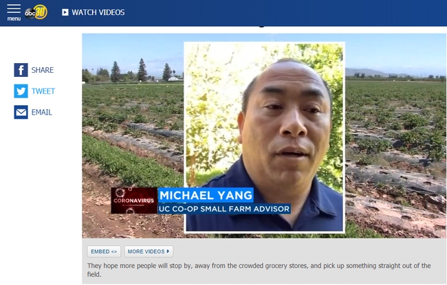 UCCE ag assistant Michael Yang on the Channel 30 News.
