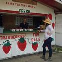 San Joaquin Valley strawberry stands are expected to be open by April 10.