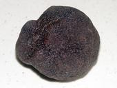 Perigord black truffles potential new crop for California. (Photo: Wikimedia Commons)