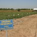 A needs assessment for organic agriculture research and extension is underway.