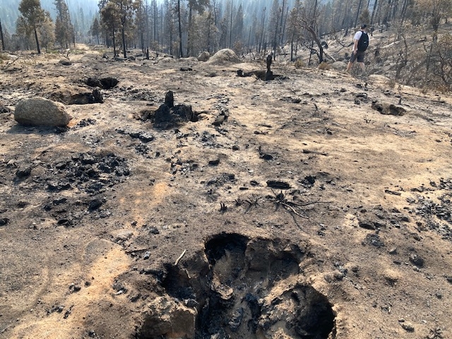 An area near Shaver Lake where the 2020 Creek Fire burned most of the living vegetation and old tree stumps. (Photo: Jeannette Warnert)