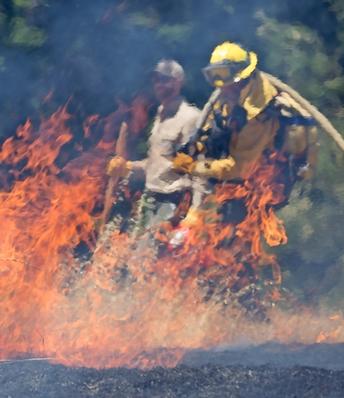 2017 prescribed burn training in Humboldt County