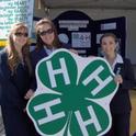 Leadership, collaboration and hands-on learning are significant parts of the 4-H program.