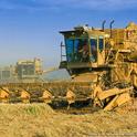 Rice harvest has started in Sutter County.