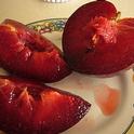 Pluot is a hybrid plum-apricot developed by Floyd Zaiger. (Photo: Wikimedia Commons)
