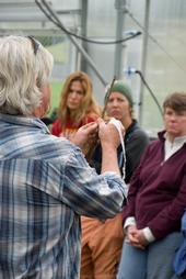 Steve Quirt demonstrates fruit tree grafting at the Indian Valley Organic Farm in Novato.