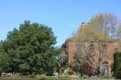 UC's oak publication addresses not only the above ground portion of the trees, but also what is going on in the root zone.