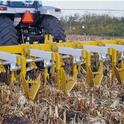 More farmers are using conservation agriculture systems.