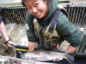 An image from the coho salmon monitoring program at the Russian River.