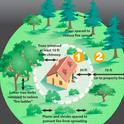 CalFire in California provides detailed information on creating a home defense zone. See UC publication <a href=http://anrcatalog.ucdavis.edu/pdf/8228.pdf>Home Landscaping for Fire</a>