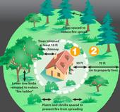 CalFire in California provides detailed information on creating a home defense zone. See UC publication <a href=http://anrcatalog.ucdavis.edu/pdf/8228.pdf>Home Landscaping for Fire</a>