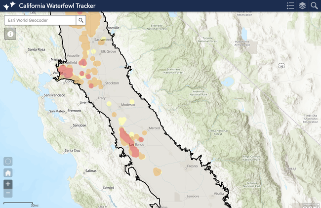 Circles on the California Waterfowl Tracker map shows where waterfowl are feeding and roosting. Red indicates a high density of birds, orange is medium density and yellow is low density.