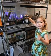 Thea Schmidt, 4, of Folsom points excitedly to the tenants of the live petting zoo at the Bohart Museum of Entomology. (Photo by Kathy Keatley Garvey)