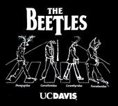 This is one of the UC Davis Entomology Graduate Student Association's best selling T-shirt, and it's popular across the pond, too.