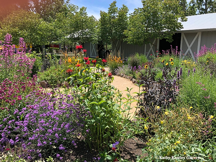 Pollinator Gardens Make Us Happy Get Ready For National