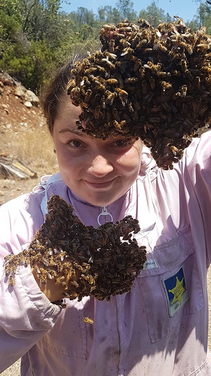 Caroline Yelle, owner of Pope Valley Queens, displays some of her bees.