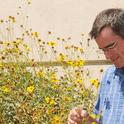 UC Davis pollination ecologist Neal Williams is one of the featured speakers at an international symposium. (Photo by Kathy Keatley Garvey)