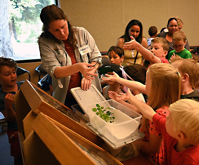 Tabatha Yang hands out insects from the Bohart Museum of Entomology's petting zoo to eager youngsters. (Photo by Kathy Keatley Garvey)