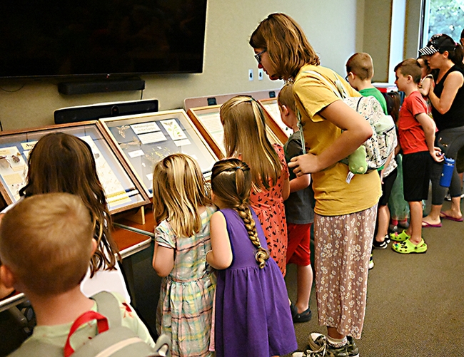 A line of viewers at the display of the Bohart Museum's pinned specimens, gathered from all over the world. (Photo by Kathy Keatley Garvey)