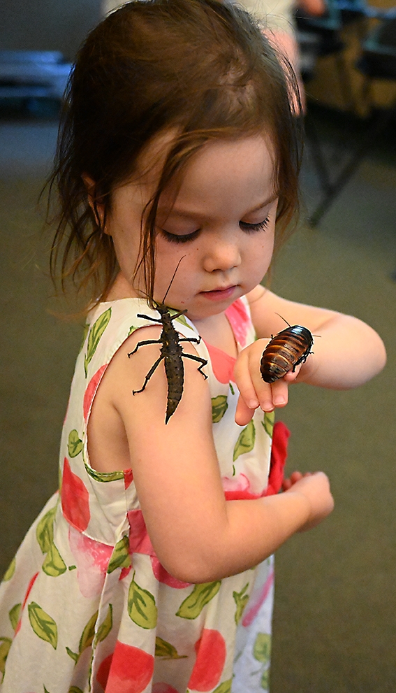 Three-year-old Esme held two at a time. (Photo by Kathy Keatley Garvey)