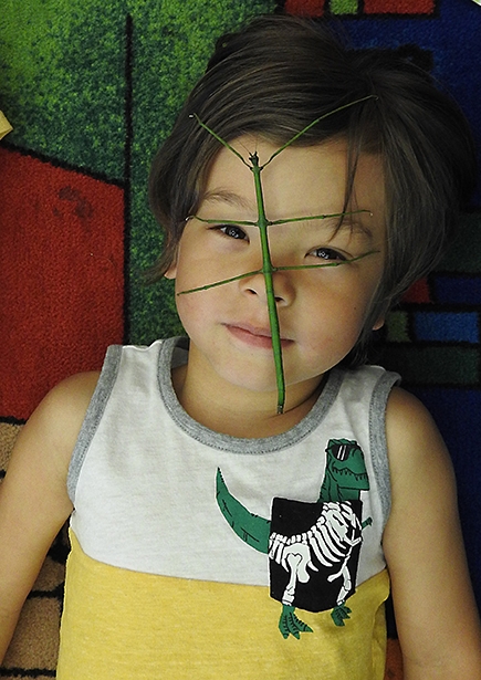 Eli, 5, is comfortable with insects. (Photo by Kathy Keatley Garvey)
