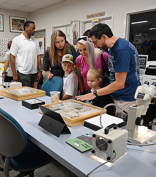 Professor Miguel Angel Miranda (far right) of the University of the Balearic Islands, Spain, answered questions about his specimens at the Bohart Museum of Entomology open house and also demonstrated how to draw insects. (Photo by Kathy Keatley Garvey)