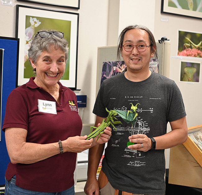 For the Bohart Museum open house on praying mantises, Kevin Murakoshi of Davis crafted these intricate origami praying mantises. With him is UC Davis distinguished professor Lynn Kimsey, director of the Bohart Museum. Murakoshi, a UC Davis alumnus and former UC Davis employee (computer research specialist), is the principal solutions architect at Amazon Web Services. (Photo by Kathy Keatley Garvey)