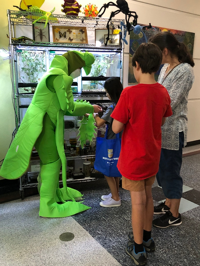 In a green praying mantis costume, Tabatha Yang, education and outreach coordinator of the Bohart Museum of Entomology, answered questions from the guests at the open house on Aug. 27. (Photo by Kathy Keatley Garvey)