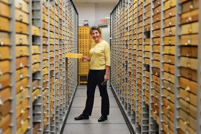 UC Davis distinguished professor Lynn Kimsey directs the Bohart Museum of Entomology. (Photo by Kathy Keatley Garvey)
